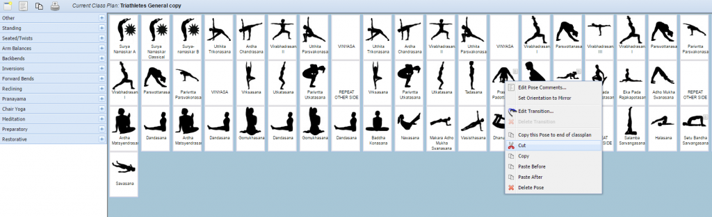 How to Copy & Paste Poses