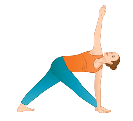 Trikonasana (Triangle Pose) - Yoga Asana