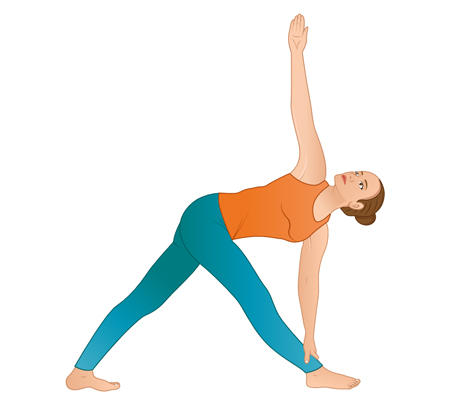 Trikonasana (Triangle Pose) - Himalayan Yoga Association (Yoga Ashram)