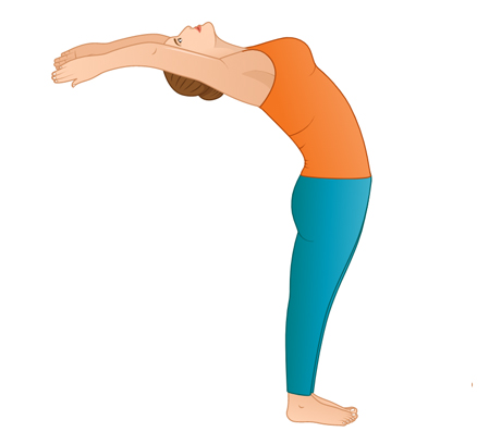 Young woman perfoming yoga exercises Volcano Pose, Upward Hand Pose, Upward  Salute Pose and demonstrating yoga asana Tadasana Urdhva Hastasana on light  background. Flat vector illustration. Stock Vector | Adobe Stock