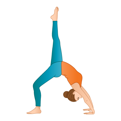 Pure Yoga Official Page - 【Tips from Pure Yoga Teacher Philippa】 Wheel Pose  1. Start in Bridge Pose — feet hip-width distance, toes pointing forward.  Lift your hips and hug your thighs