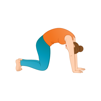 What are the Health Benefits of Marjariasana and How to Perform?