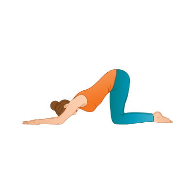 Yoga daily tips and advices - One legged downward dog pose benefits 🐶 |  Facebook