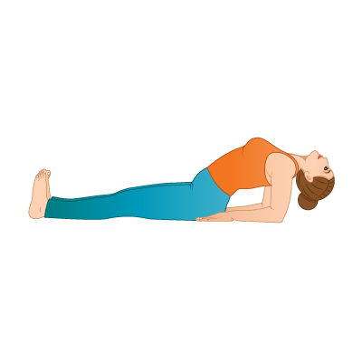 dailyyoga on Instagram: “Daily Yoga Pose Instruction: Fish Pose - Begin by  lying on your back with your legs extended and your arms resting… | Yoga,  Fisio, Massagem