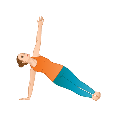 Plank Pose - Uttihita Chaturanga Dandasana - Australian School of  Meditation & Yoga | ASMY