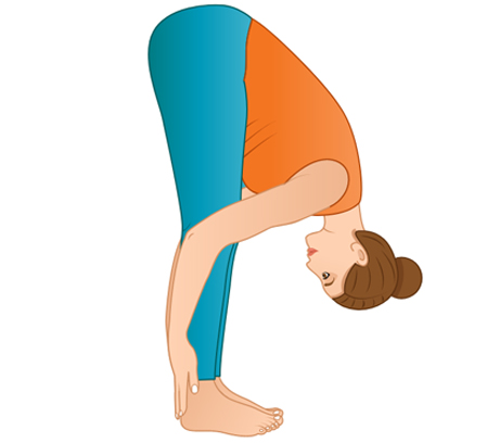 Women silhouette. Standing half forward bend yoga pose. Ardha uttanasana.  Vector illustration 8321580 Vector Art at Vecteezy