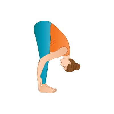 Man Doing Uttanasana or Standing Forward Fold Yoga Pose Stock Vector -  Illustration of fold, forward: 230821096