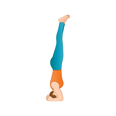 Sirsasana (Headstand Pose) - Yoga Asana